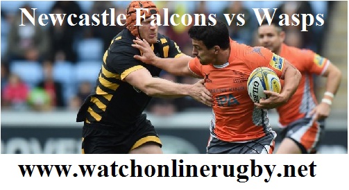 Newcastle Falcons vs Wasps live