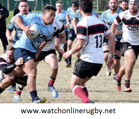 North Harbour vs Northland 2016 Live