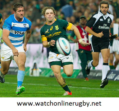 Rugby Australia vs South Africa Live Broadcast