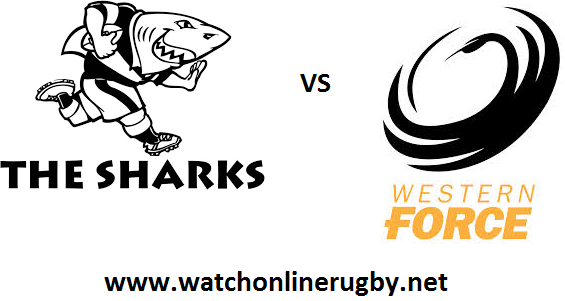 Sharks vs Western Force rugby live