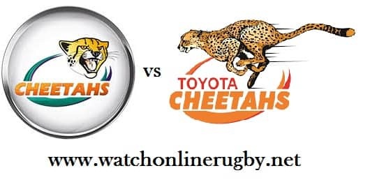 Cheetahs vs Kings live