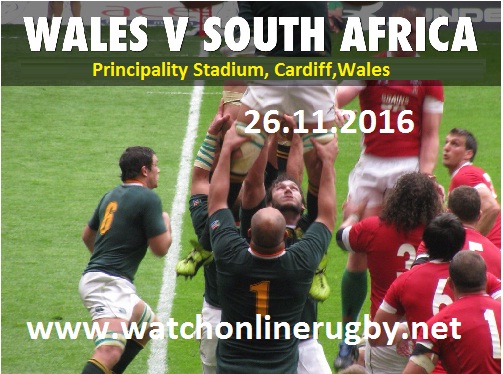 Springboks vs Wales live