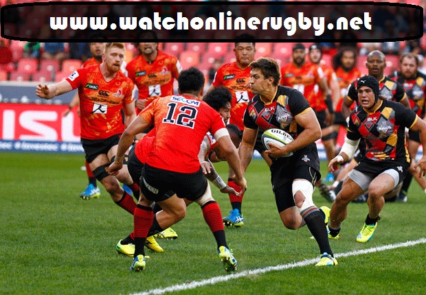 Sunwolves vs King Live 