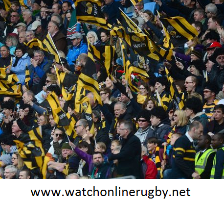 Zebre vs Wasps 2016 Live Streaming