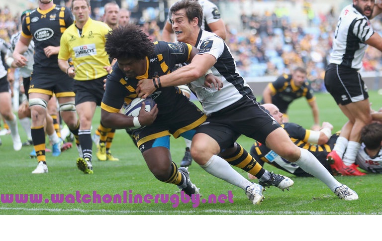 Zebre vs Wasps Live