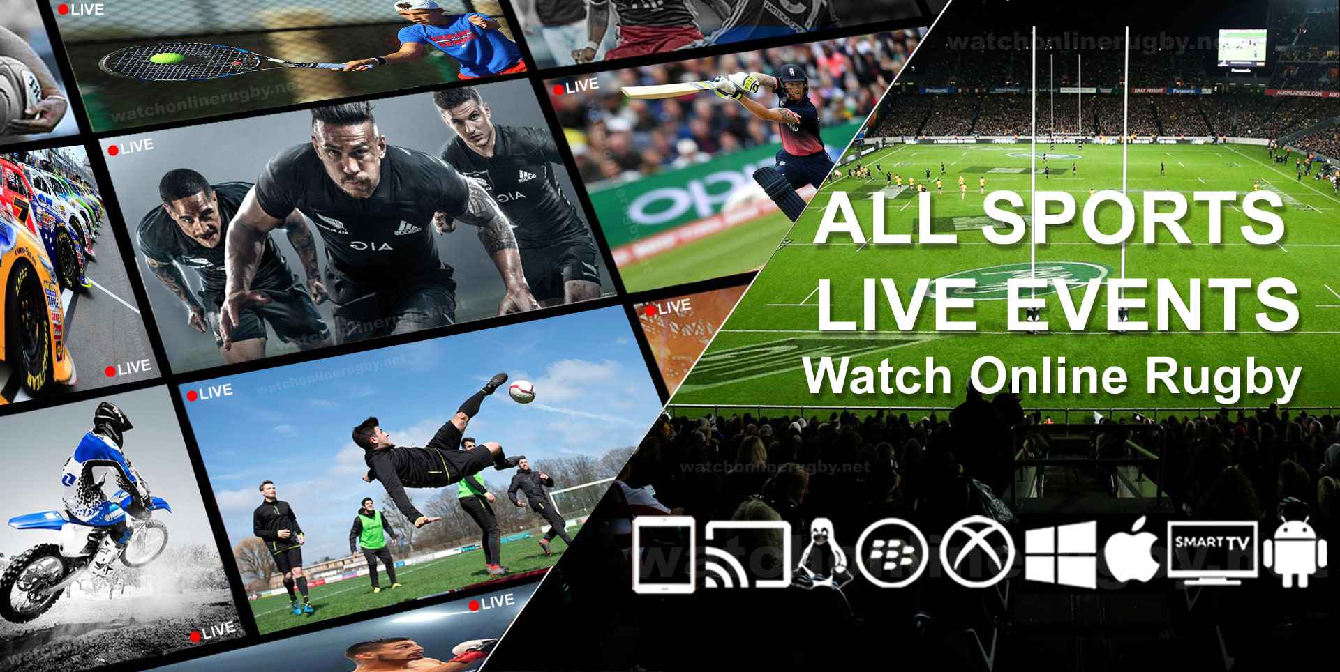 Watch Online Rugby 2022 Live Streaming: Full Replays